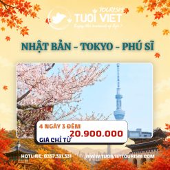 Nhật Bản - Tokyo - Phú Sĩ - Yamanashi - Phố Nakamise
