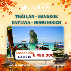 Tour mùa hè : Pattaya - Đảo Coaral - Bangkok - Wat Arun 5N4Đ