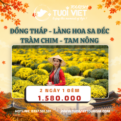 Tour xuôi dòng Miền Tây Đồng Tháp