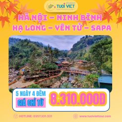 Tour Hồ Chí Minh - Hà Nội - Ninh Bình - Hạ Long - Yên Tử - SaPa 5N4D