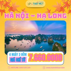 Tour Hà Nội - Vịnh Hạ Long (Ngủ đêm trên du thuyền) 4N3Đ