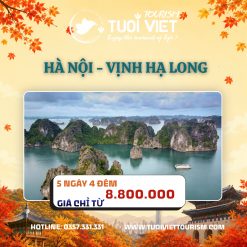 Tour Hà Nội - Vịnh Hạ Long (Ngủ đêm trên du thuyền)