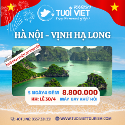 Tour Hà Nội - Vịnh Hạ Long (Ngủ đêm trên du thuyền)